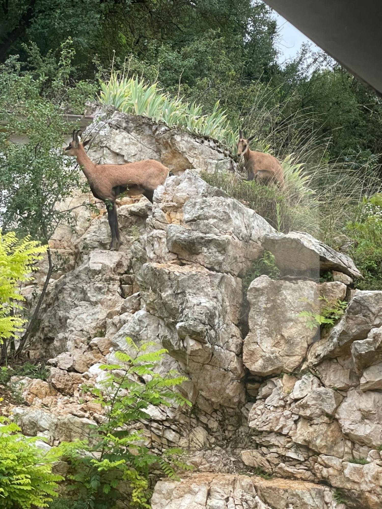 Rochefort-sur-Nenon Maison Au Bord De L'Eau Les Roches מראה חיצוני תמונה
